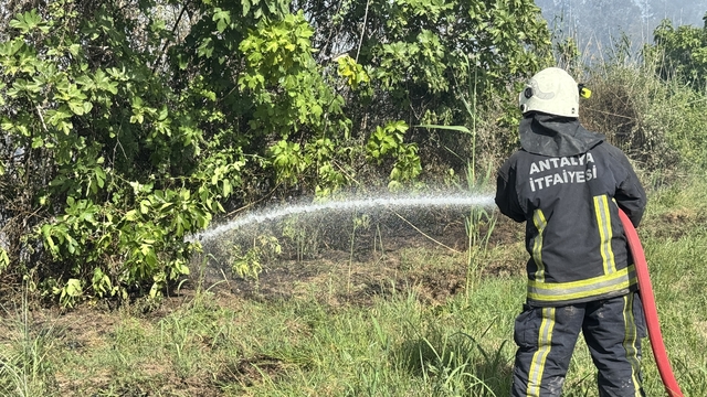 Antalya'da ormanlık ve sazlık alanda çıkan yangın söndürüldü
