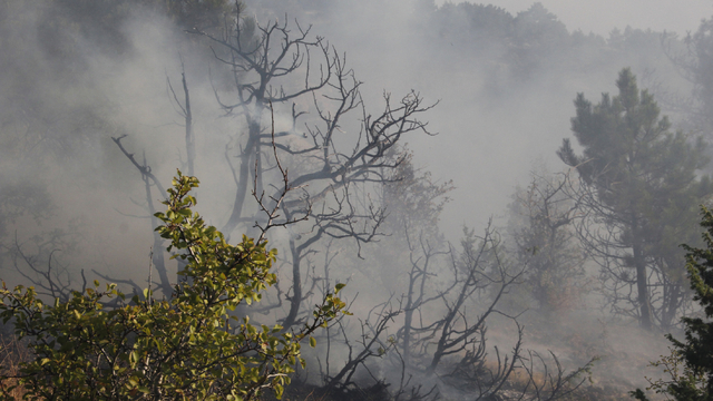 Beypazarı'nda yıldırım düşmesi sonucu çıkan yangın söndürüldü