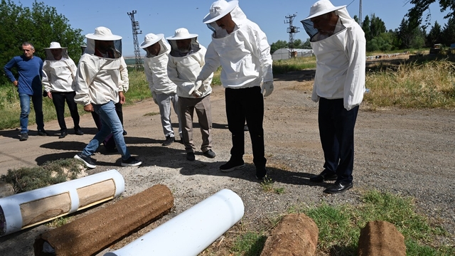 Batman'da 112 arıcıya yüzde 70 hibeyle arılı sepet kovanı dağıtıldı