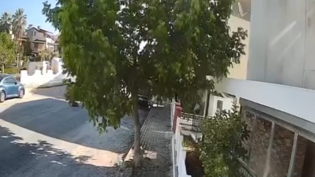 Sokakta yatan köpeği ezip yoluna devam etti; o anlar kamerada