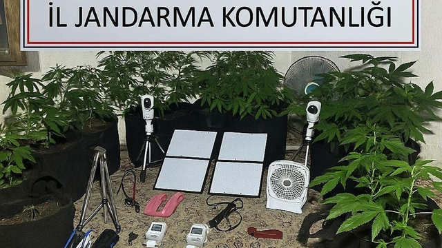 Metruk binada Hint keneviri yetiştiren üniversiteliye gözaltı