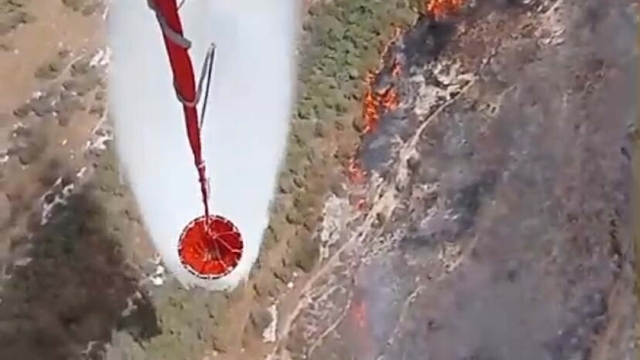İzmir'de makilik yangını