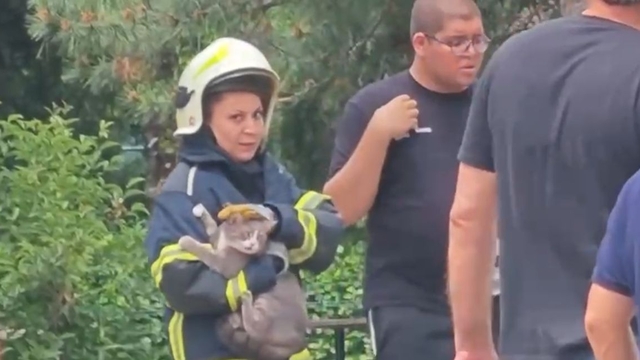 Yangın çıkan dairede mahsur kalan kediyi, itfaiyeci Melisa kurtardı