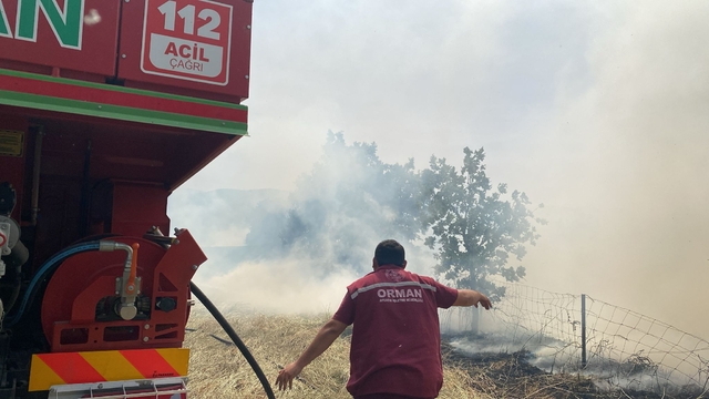 Çanakkale'de çıkan orman yangını söndürüldü