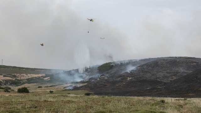İzmir'de makilik yangını (3)