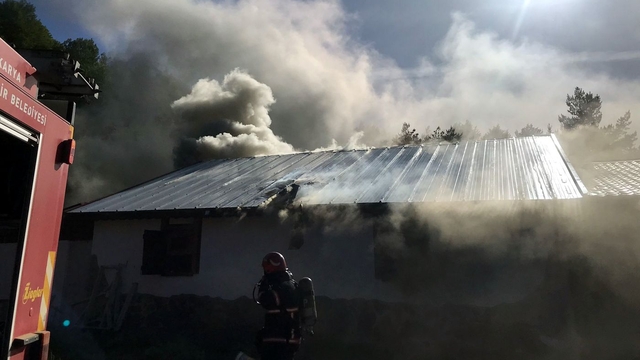 Sakarya'da yayla evinde çıkan yangın söndürüldü