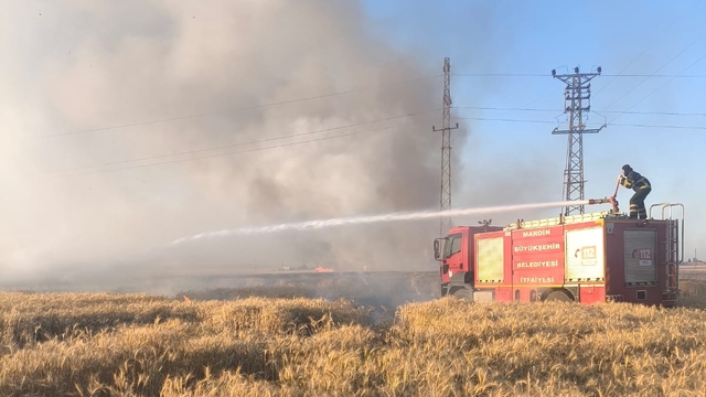Mardin'de 155 dönüm ekili buğday yandı