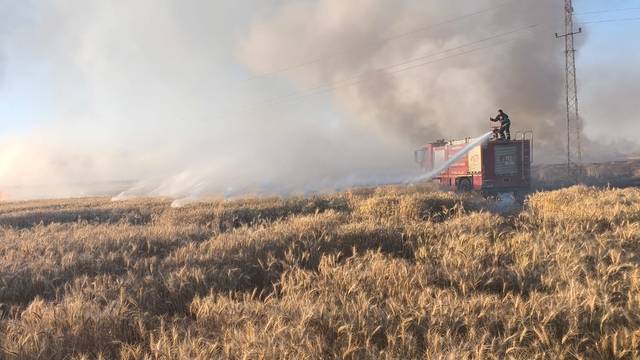 Mardin'de çıkan yangınlarda 155 dönüm buğday ekili alan zarar gördü