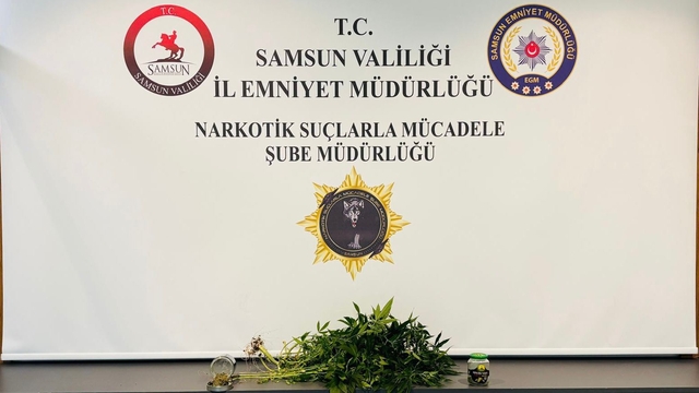 Samsun'da evde kurdukları serada kenevir yetiştiren 2 kişi gözaltına alındı