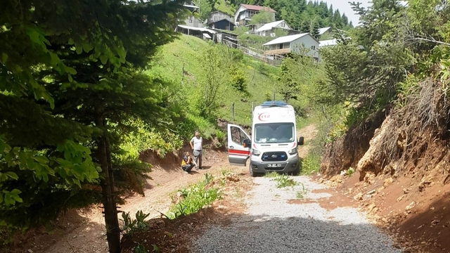 Kamyonet şarampole yuvarlandı; sürücü öldü, eşi ağır yaralandı