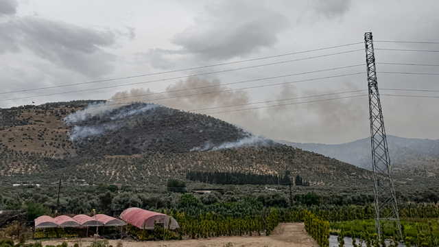 İzmir'de zeytinlik alanda çıkan yangın kontrol altına alındı