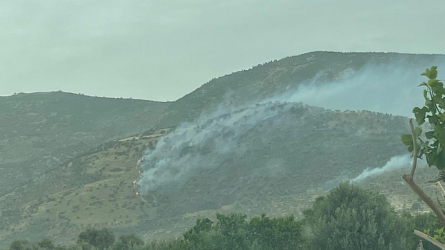 İzmir'de tarım arazisinde çıkan yangın, 2,5 saatte kontrol altına alındı