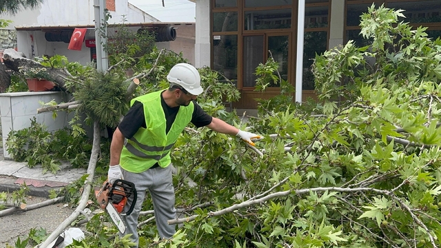 Turgutlu'da şiddetli rüzgar; ağaçlar devrildi