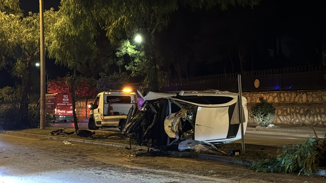 Adana'da otomobilin ağaçlara çarpması sonucu 5 kişi yaralandı