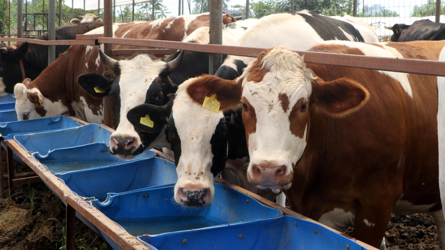 Bayram öncesi 'Bir tıkla bağış değil, tuzağa düşüyorsunuz' uyarısı