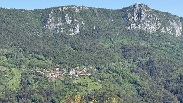 Galeri