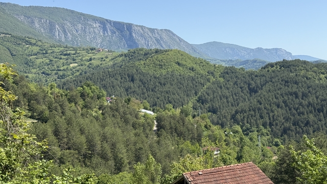 Galeri