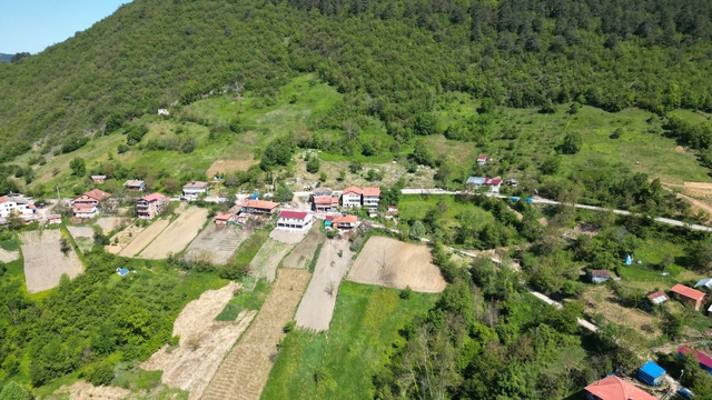 Galeri