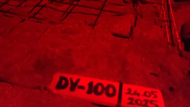 İztuzu Plajı'nda caretta yuva sayısı 100'e ulaştı