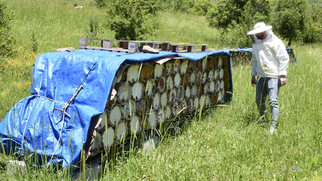 Bitlis balı, Paris'teki yarışmada ikinci kez "Altın Bal" ödülü aldı