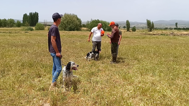 Sandıklı'da fermalı av köpekleri mera yarışması düzenlendi