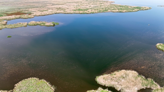 Su seviyesi düşen Eber Gölü'nde kaçak kullanım yılda 22 milyon ton