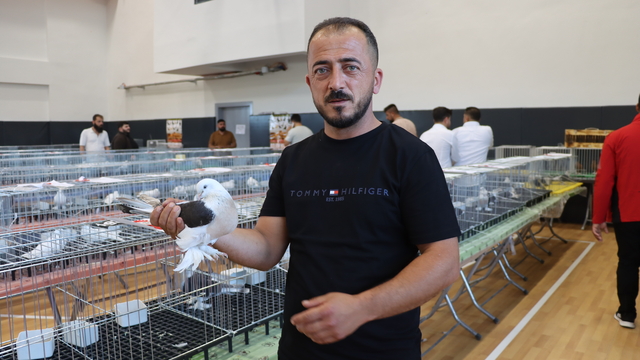 Midyat'ta "Midyat-Musul Güvercin Festivali" düzenlendi