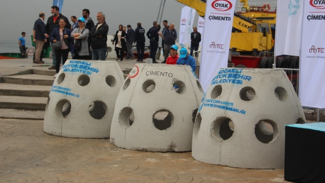 İzmit Körfezi'ne 6 bin balık ile 100 yapay resif bırakıldı