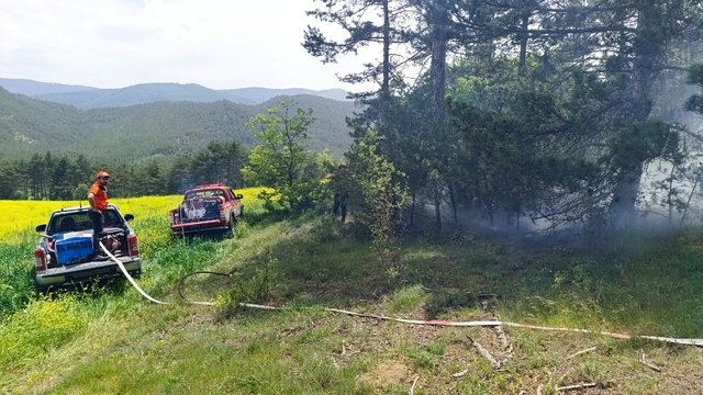 Yıldırım düşen ormanda çıkan yangın söndürüldü