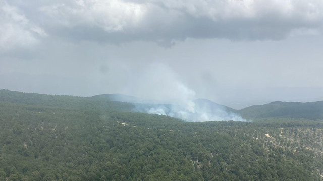 Aydın'da çıkan orman yangını söndürüldü