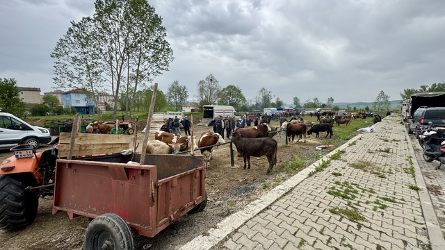 Eflani'de kurbanlık satışları sürüyor