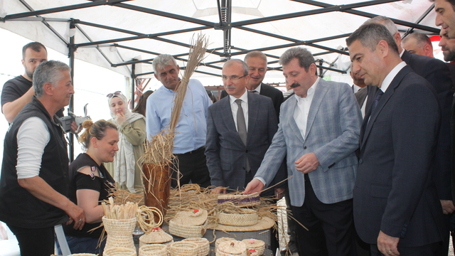 Bafra Ovası'nda çeltik ekimi başladı