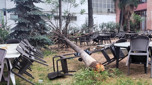 Bilecik'te fırtınada zarar gören ağaç kafenin bahçesine devrildi