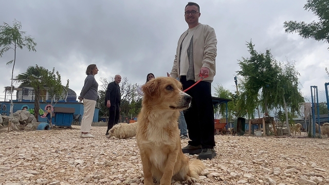 Emekli Hayvanlar Çiftliği'nde terk edilen canları günübirlik sahipleniyorlar