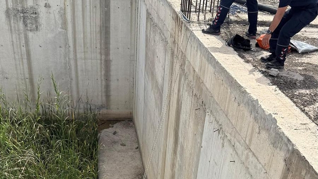 Hatay'da mahsur kalan kedi ve köpek itfaiye ekiplerince kurtarıldı