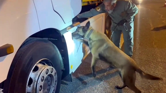 TIR'daki 5,5 kilo uyuşturucuyu 'Viva' buldu