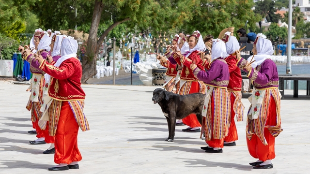 Datça'da Hayat Boyu Öğrenme Haftası etkinlikleri başladı