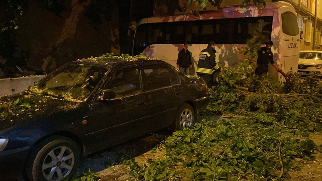 Çorlu'da üzerine ağaç devrilen otomobilde hasar oluştu