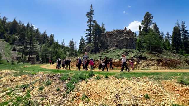 Tekeçatı Yaylası doğayla iç içe vakit geçirmek isteyenlere güzel fırsatlar sunuyor