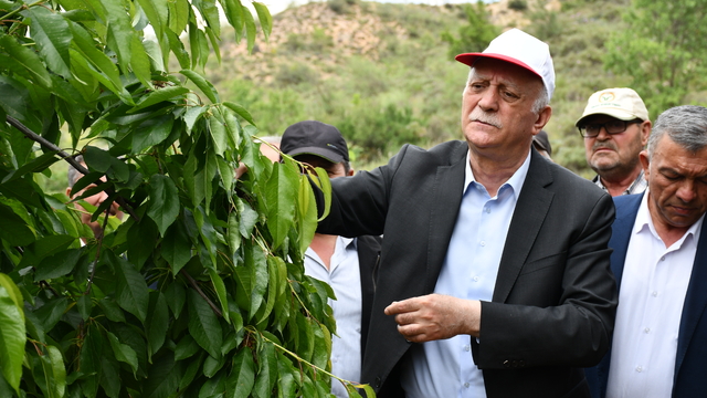 TZOB Genel Başkanı Bayraktar, Bilecik'te zirai dondan etkilenen kiraz bahçelerini inceledi