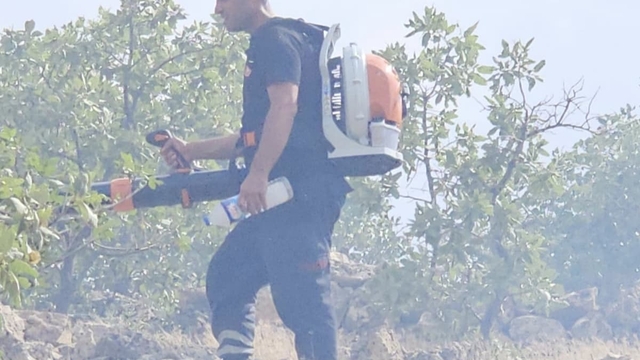 Nusaybin'de otluktaki yangın söndürüldü