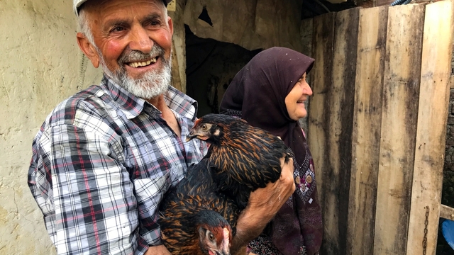 Kocaeli Büyükşehir Belediyesinden yumurta üreticilerine yüzde 50 hibeli ekipman desteği