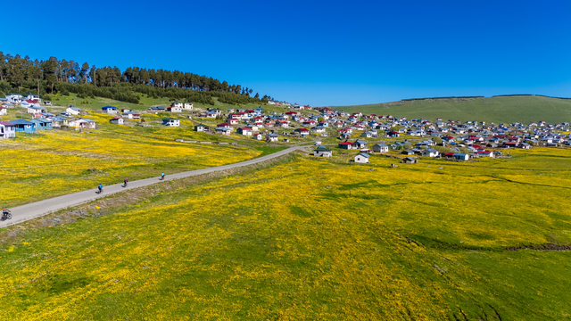 Ardahan Göle'de çiçeklerle kaplı ovada bisiklet etkinliği düzenlendi