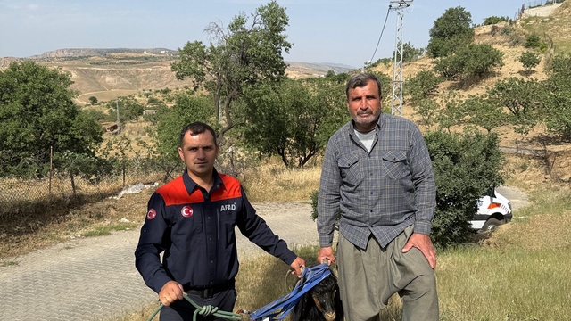 Siirt'te kuyuya düşen keçiyi AFAD ekipleri kurtardı