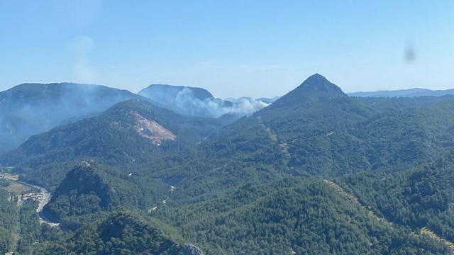 Marmaris'te orman yangını