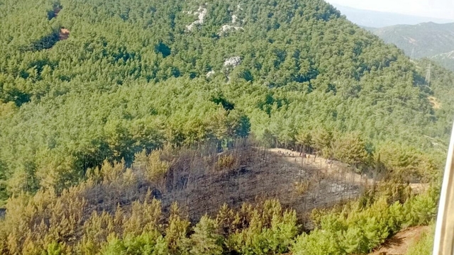 Galeri