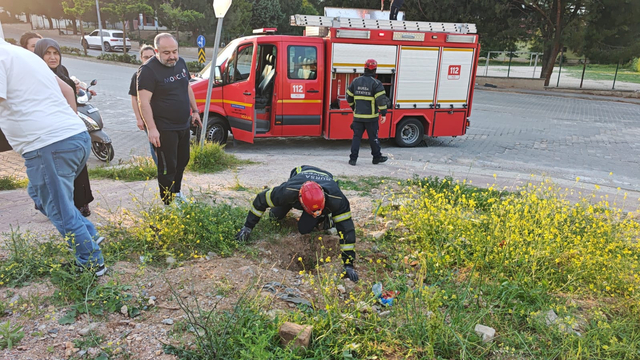 Bursa'da çukura düşen kuzu kurtarıldı