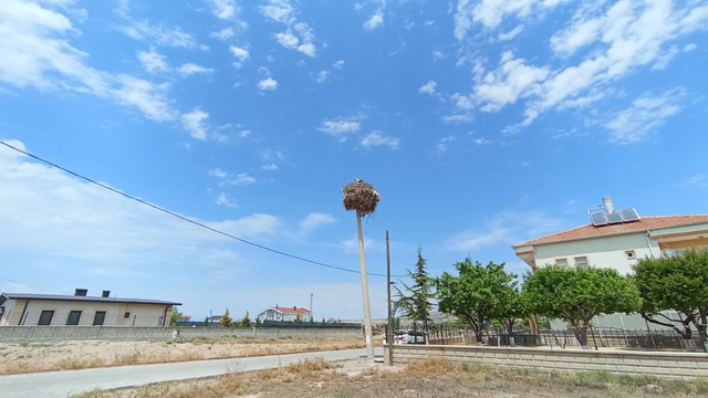 Nevşehir'de elektrik direği leylek ailesine tahsis edildi