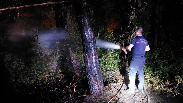 Manavgat'ta çıkan orman yangını söndürüldü