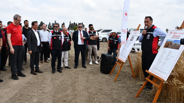 Adana'da yerli ve milli tohumlar "Tarla Günü" etkinliğinde tanıtıldı
